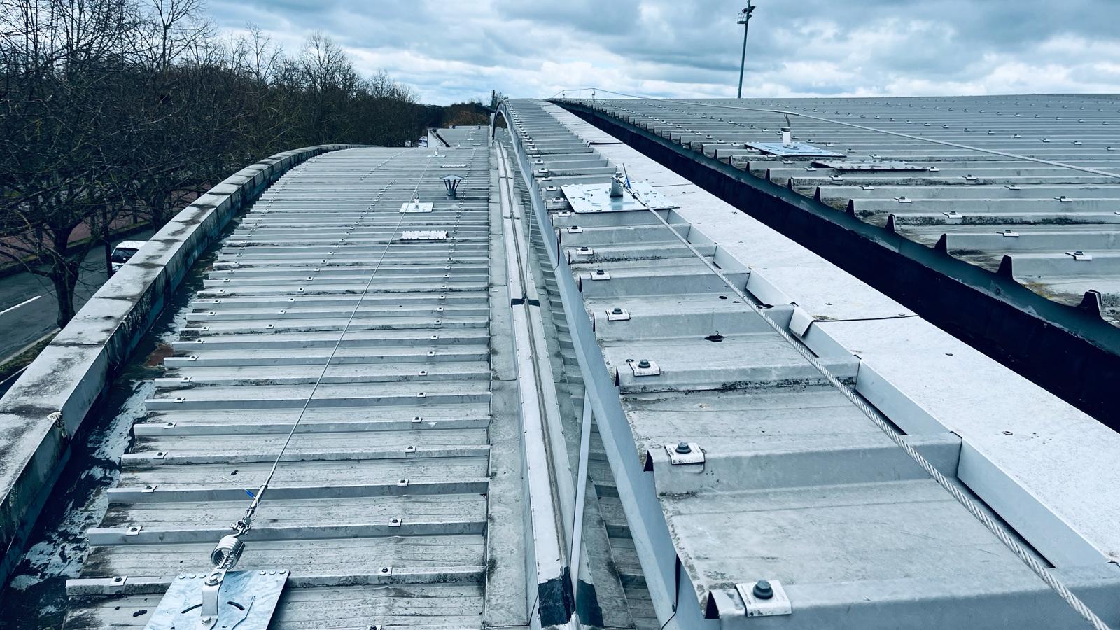 Lignes de vie horizontales et verticales différences et entretien spécifique